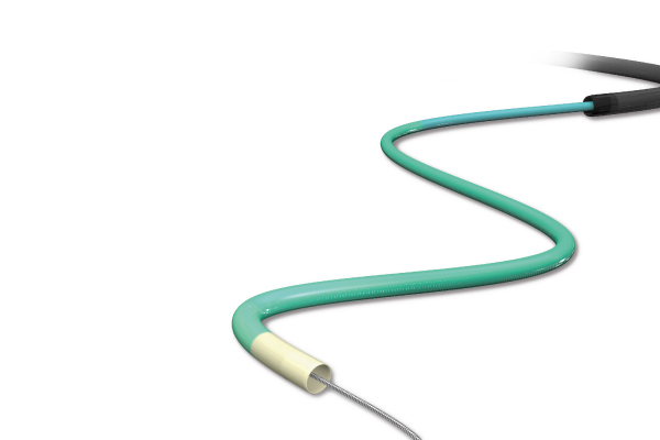 GUIDING EXTENSION CATHETER